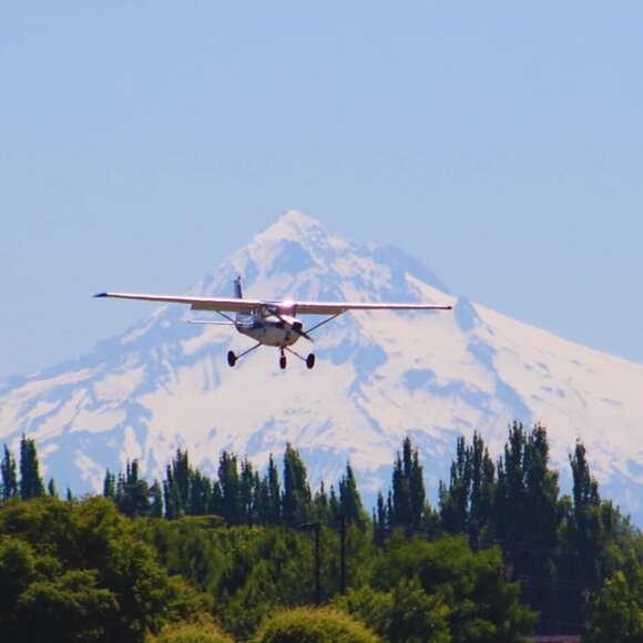 Meet your Posher, Sharon - Picture 3 of 15